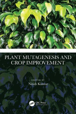 bokomslag Plant Mutagenesis and Crop Improvement