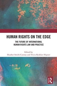 bokomslag Human Rights on the Edge