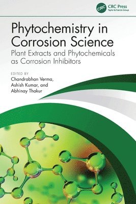 bokomslag Phytochemistry in Corrosion Science