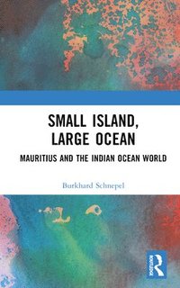bokomslag Small Island, Large Ocean