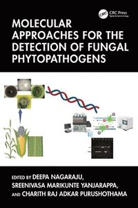 bokomslag Molecular Approaches for the Detection of Fungal Phytopathogens