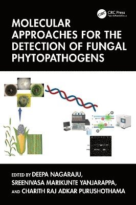 Deepa Nagaraju, Sreenivasa Marikunte Yanjarappa, Charith Raj Adkar Purushothama - Molecular Approaches for the Detection of Fungal Phytopathogens, Inbunden