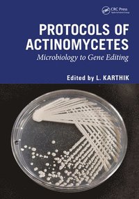 bokomslag Protocols of Actinomycetes