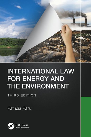 bokomslag International Law for Energy and the Environment