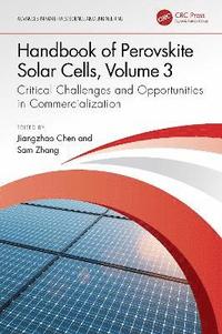bokomslag Handbook of Perovskite Solar Cells, Volume 3