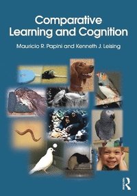 bokomslag Comparative Learning and Cognition