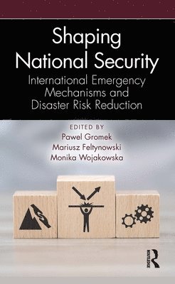 Pawel Gromek, Mariusz Feltynowski, Monika Wojakowska - Shaping National Security, Häftad