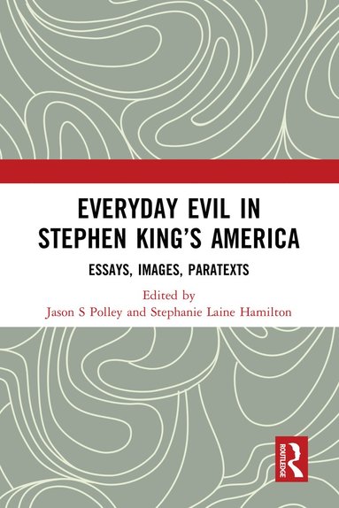 bokomslag Everyday Evil in Stephen King's America