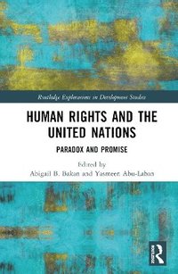 bokomslag Human Rights and the United Nations