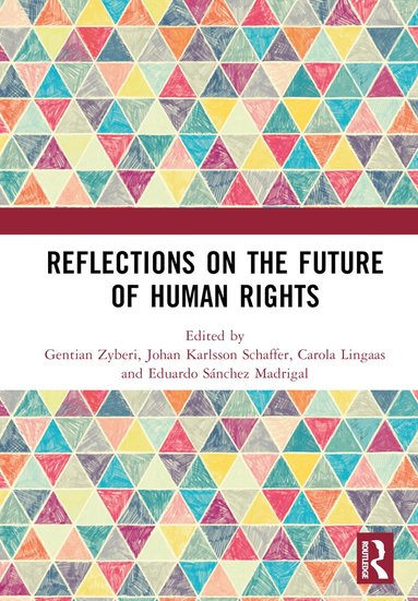 Gentian Zyberi, Johan Karlsson Schaffer, Carola Lingaas, Eduardo Sánchez Madrigal - Reflections on the Future of Human Rights, Inbunden