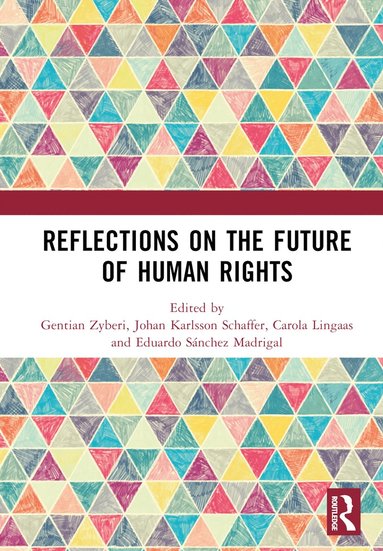 bokomslag Reflections on the Future of Human Rights