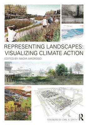 Representing Landscapes: Visualizing Climate Action 1