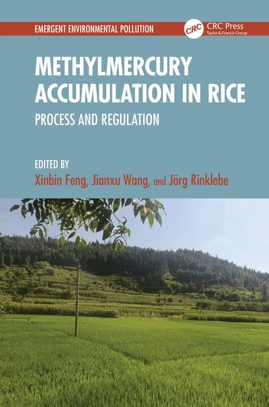 Xinbin Feng, Jianxu Wang, Jörg Rinklebe - Methylmercury Accumulation in Rice, Inbunden
