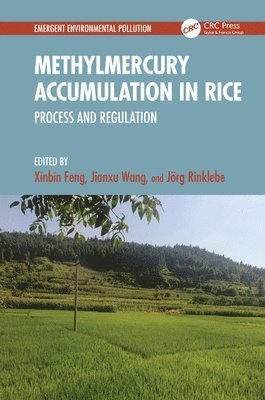 bokomslag Methylmercury Accumulation in Rice