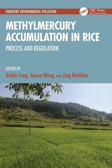 Xinbin Feng, Jianxu Wang, Jörg Rinklebe - Methylmercury Accumulation in Rice, Häftad