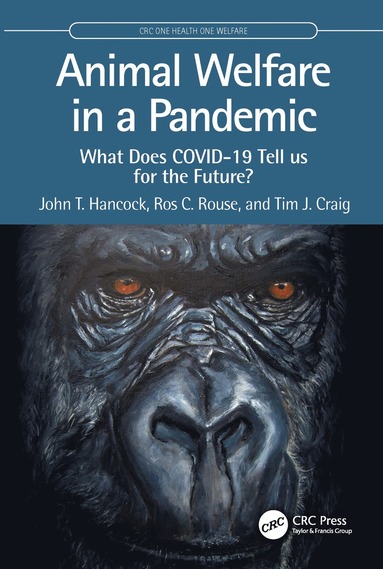 bokomslag Animal Welfare in a Pandemic