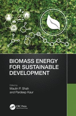 bokomslag Biomass Energy for Sustainable Development
