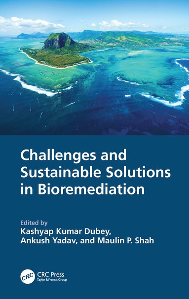 bokomslag Challenges and Sustainable Solutions in Bioremediation