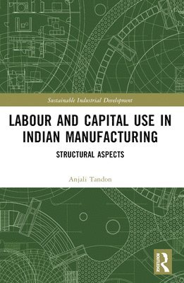 bokomslag Labour and Capital Use in Indian Manufacturing
