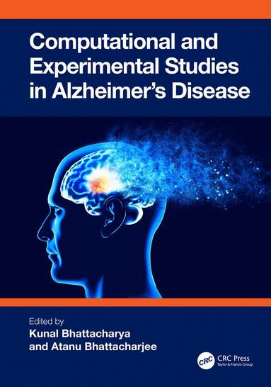 bokomslag Computational and Experimental Studies in Alzheimer's Disease