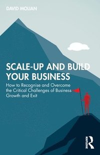 bokomslag Scale-up and Build Your Business