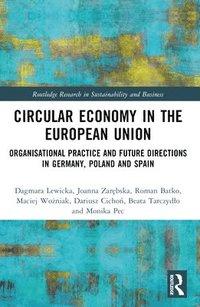 bokomslag Circular Economy in the European Union