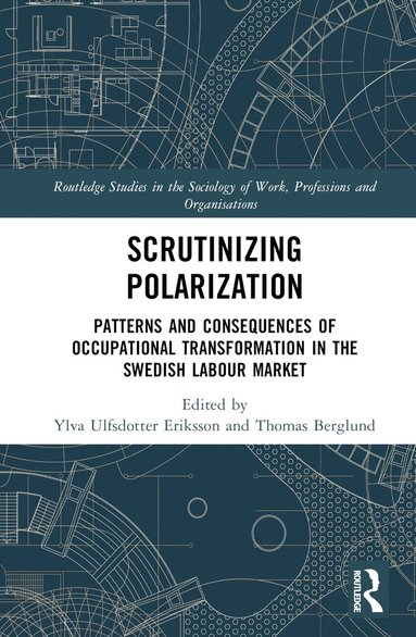 bokomslag Scrutinising Polarisation