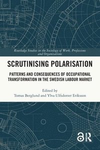 bokomslag Scrutinising Polarisation
