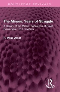 bokomslag Miners: Years of Struggle