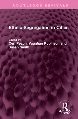 Ethnic Segregation in Cities 1