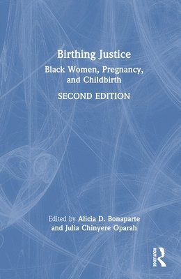 bokomslag Birthing Justice