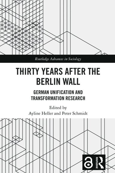 bokomslag Thirty Years After the Berlin Wall