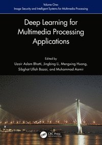 bokomslag Deep Learning for Multimedia Processing Applications