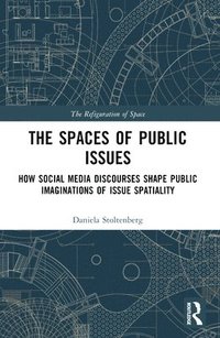 bokomslag Spaces of Public Issues