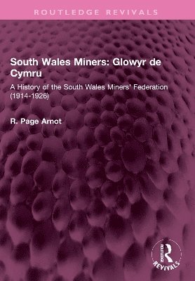 bokomslag South Wales Miners: Glowyr de Cymru