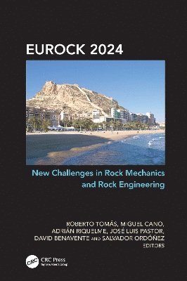 New Challenges in Rock Mechanics and Rock Engineering 1