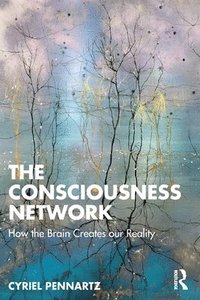 bokomslag The Consciousness Network