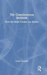 bokomslag The Consciousness Network