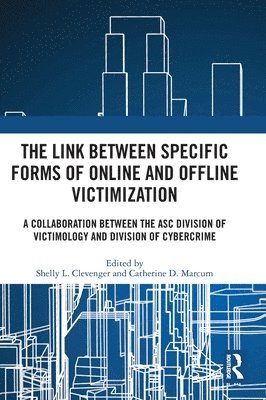 bokomslag Link between Specific Forms of Online and Offline Victimization