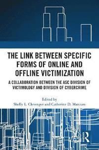 bokomslag The Link between Specific Forms of Online and Offline Victimization