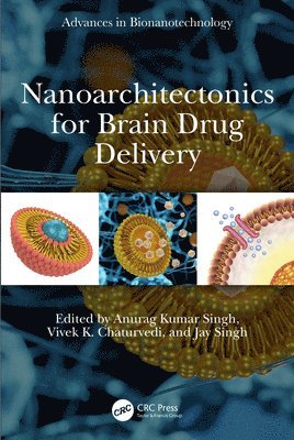 bokomslag Nanoarchitectonics for Brain Drug Delivery