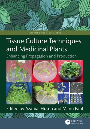Azamal Husen, Manu Pant - Tissue Culture Techniques and Medicinal Plants, Inbunden
