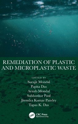 Remediation of Plastic and Microplastic Waste 1