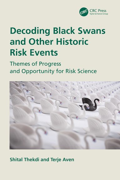 bokomslag Decoding Black Swans and Other Historic Risk Events