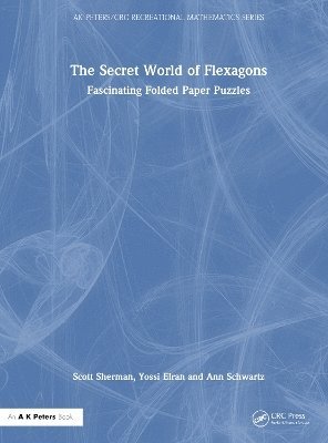 bokomslag The Secret World of Flexagons