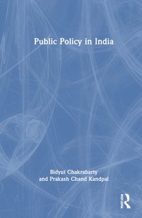 bokomslag Public Policy in India