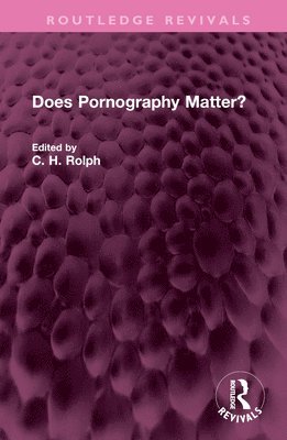 bokomslag Does Pornography Matter?