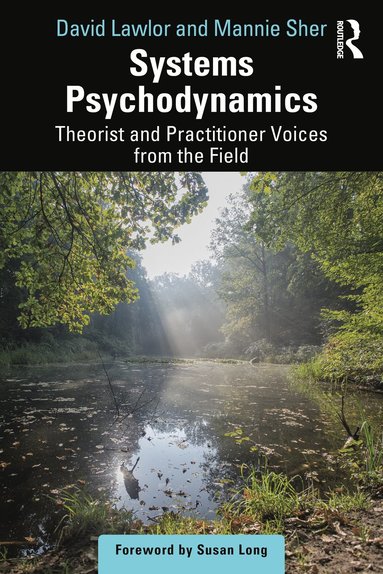 bokomslag Systems Psychodynamics