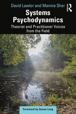 David Lawlor, Mannie Sher - Systems Psychodynamics, Häftad
