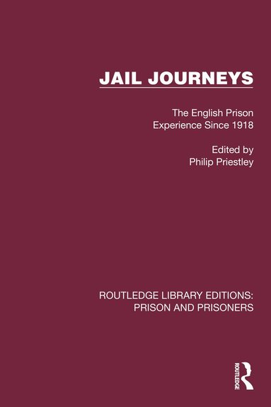 bokomslag Jail Journeys